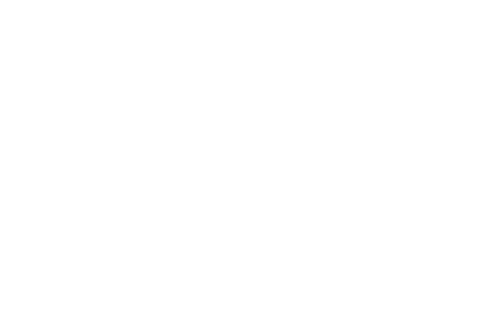 andys motors logo white